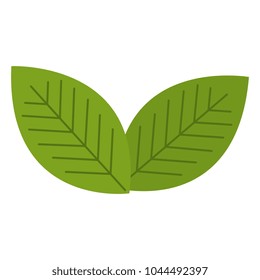leafs plant ecology icon