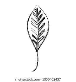 leafs plant ecology icon