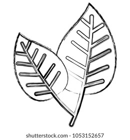 leafs plant ecology icon