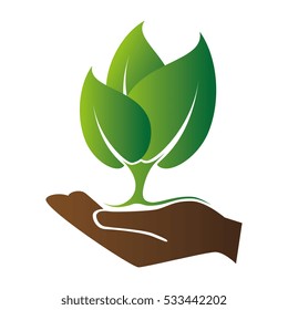 leafs plant ecology icon