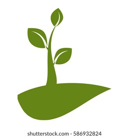 leafs plant ecology icon