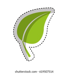 leafs plant ecology icon