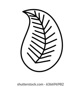 leafs plant ecology icon