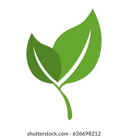 leafs plant ecology icon