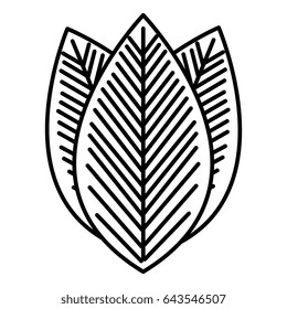 leafs plant ecology icon
