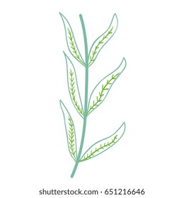 leafs plant ecology icon