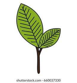 leafs plant ecology icon