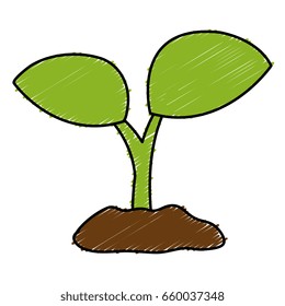 leafs plant ecology icon