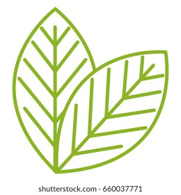 leafs plant ecology icon