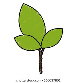 leafs plant ecology icon