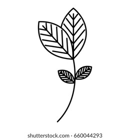 leafs plant ecology icon