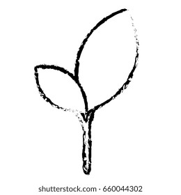 leafs plant ecology icon