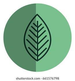 leafs plant ecology icon