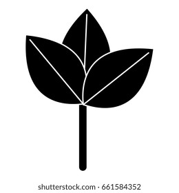 leafs plant ecology icon