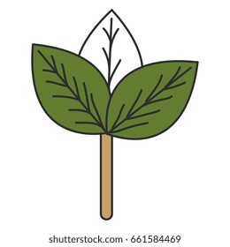 leafs plant ecology icon
