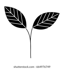 leafs plant ecology icon