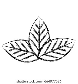 leafs plant ecology icon