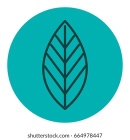 leafs plant ecology icon