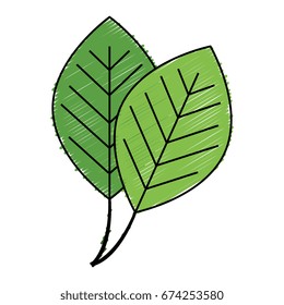 leafs plant ecology icon