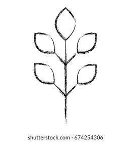 leafs plant ecology icon