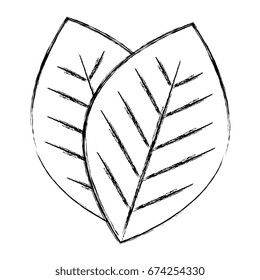 leafs plant ecology icon