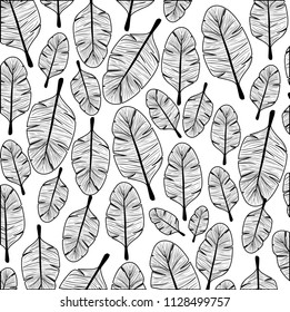 leafs plant ecology pattern