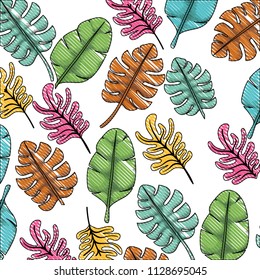 leafs plant ecology pattern