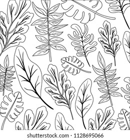 leafs plant ecology pattern