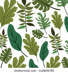 leafs plant ecology pattern