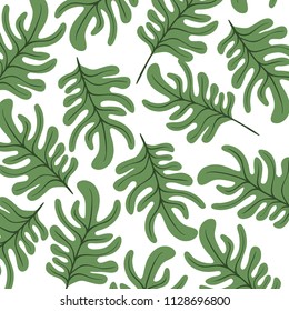 leafs plant ecology pattern