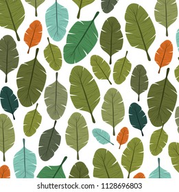 leafs plant ecology pattern