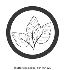 leafs plant ecology symbol