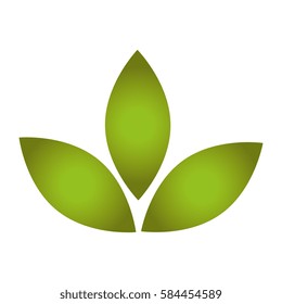 leafs plant ecology symbol