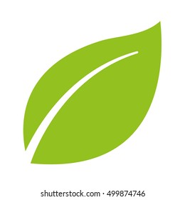leafs plant ecology symbol vector illustration design