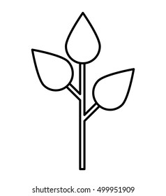 leafs plant ecology symbol vector illustration design