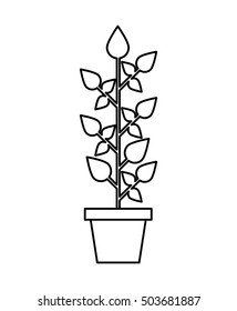 leafs plant ecology symbol vector illustration design