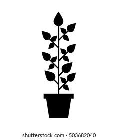 leafs plant ecology symbol vector illustration design