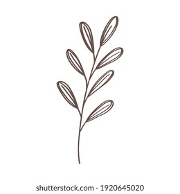 diseño de ilustraciones vectoriales con el estilo dibujado a mano de plantas