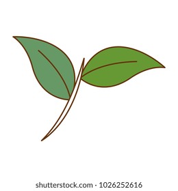 leafs plant isolated icon