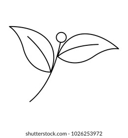 leafs plant isolated icon