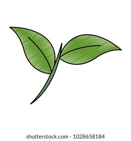 leafs plant isolated icon