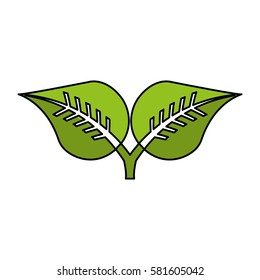 leafs plant isolated icon