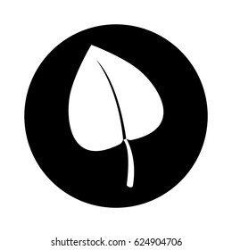 leafs plant isolated icon