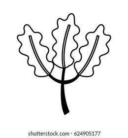 leafs plant isolated icon
