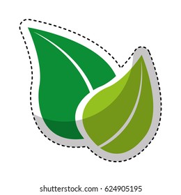 leafs plant isolated icon