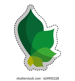leafs plant isolated icon