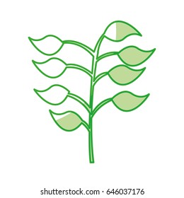 leafs plant isolated icon