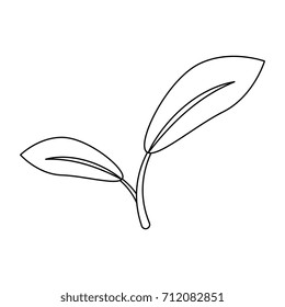 leafs plant isolated icon