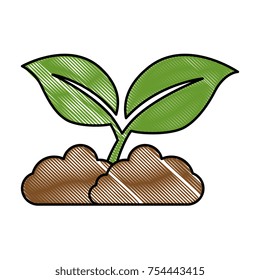 leafs plant isolated icon