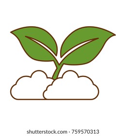 leafs plant isolated icon